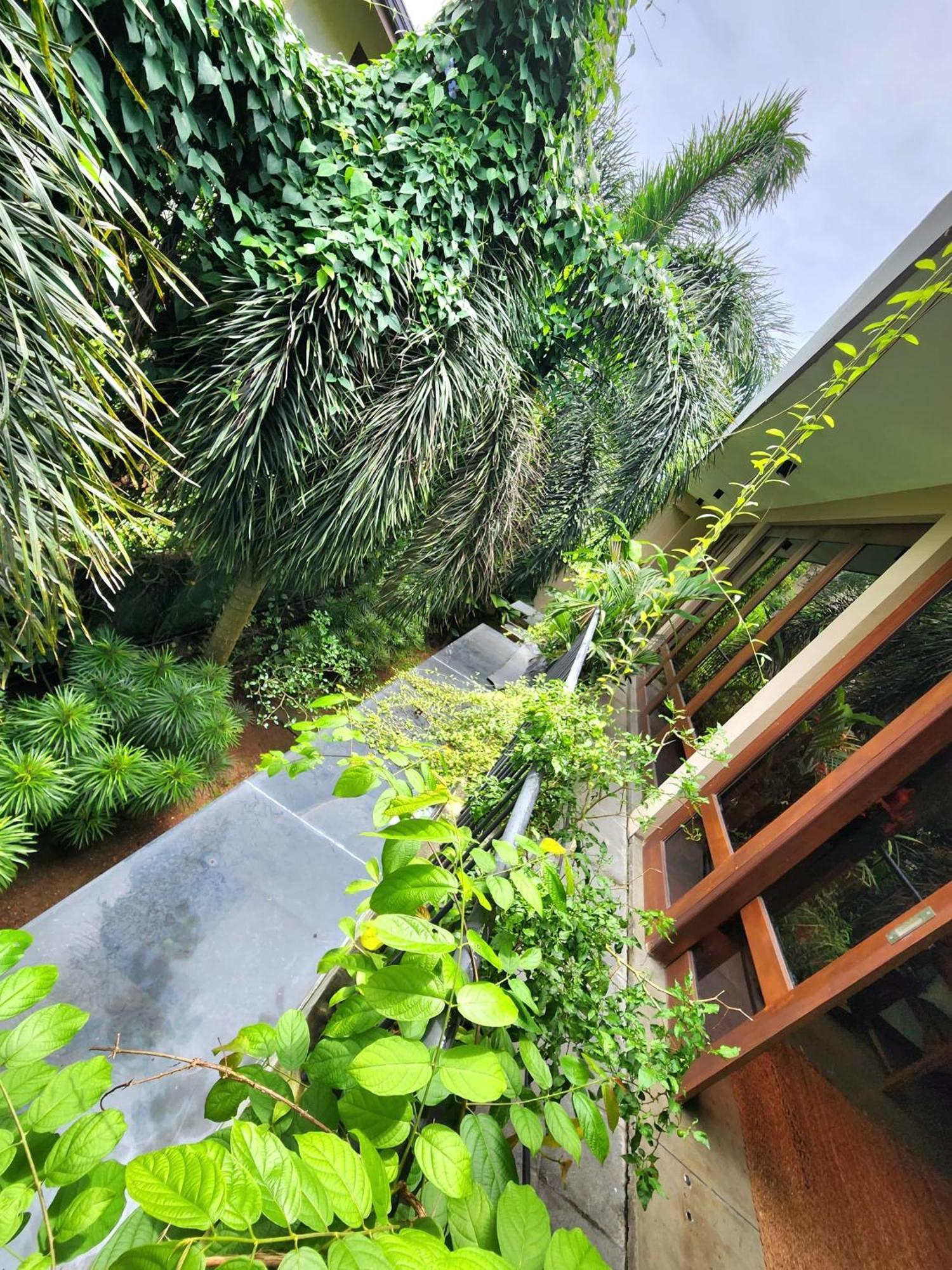 Cozy Luxury Room With Balcony View ! Rajagiriya Exterior foto